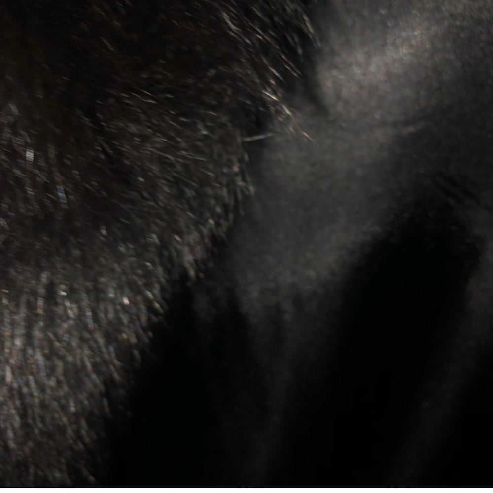 Coat - Picture 2 of 6
